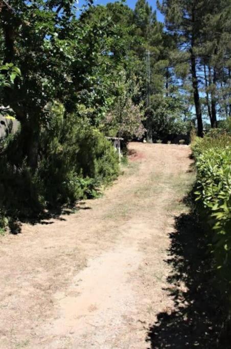 Appartement tout équipé en rez-de-jardin entre Gard et Ardèche Saint-Julien-de-Peyrolas Esterno foto